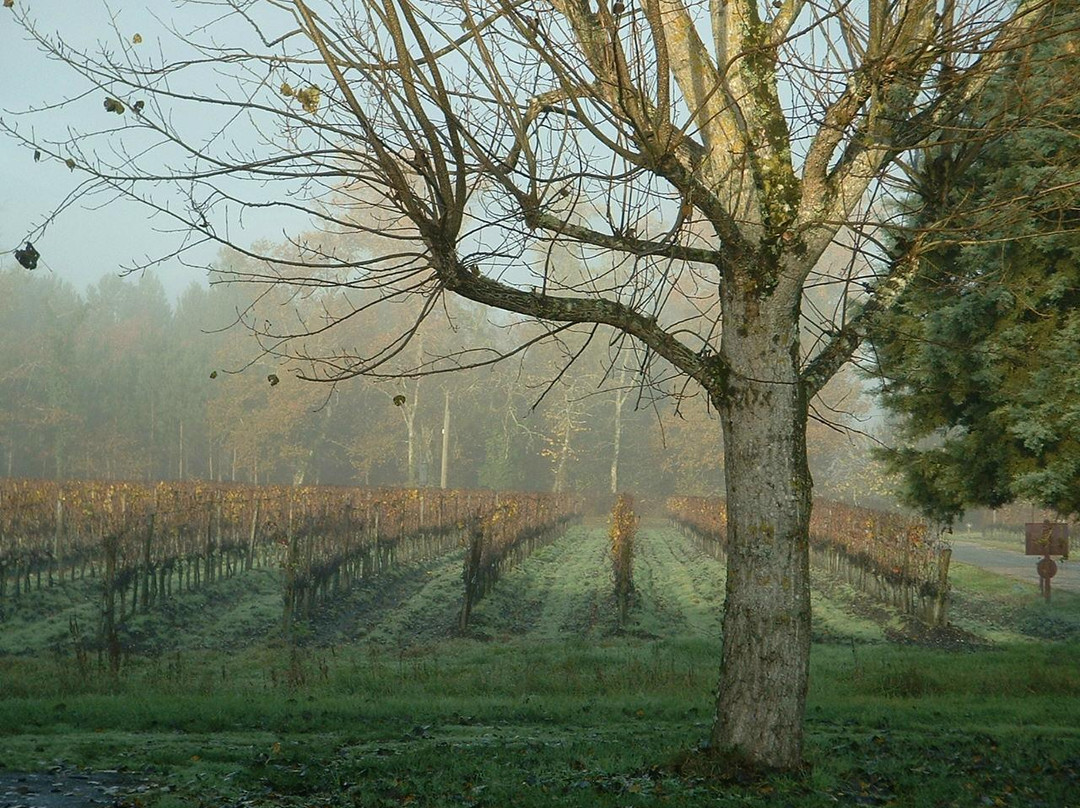 Château Méric et Chante l'Oiseau-La Brede必去景点