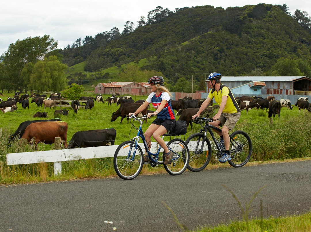 Hauraki Rail Trail景点图片