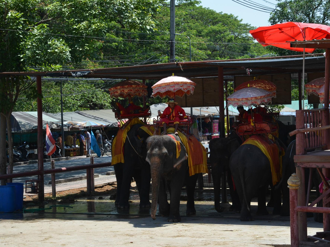 Elephantstay-大城必去景点
