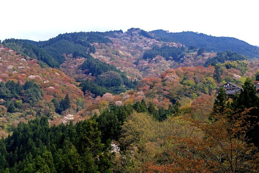 Yoshino-奈良县必去景点