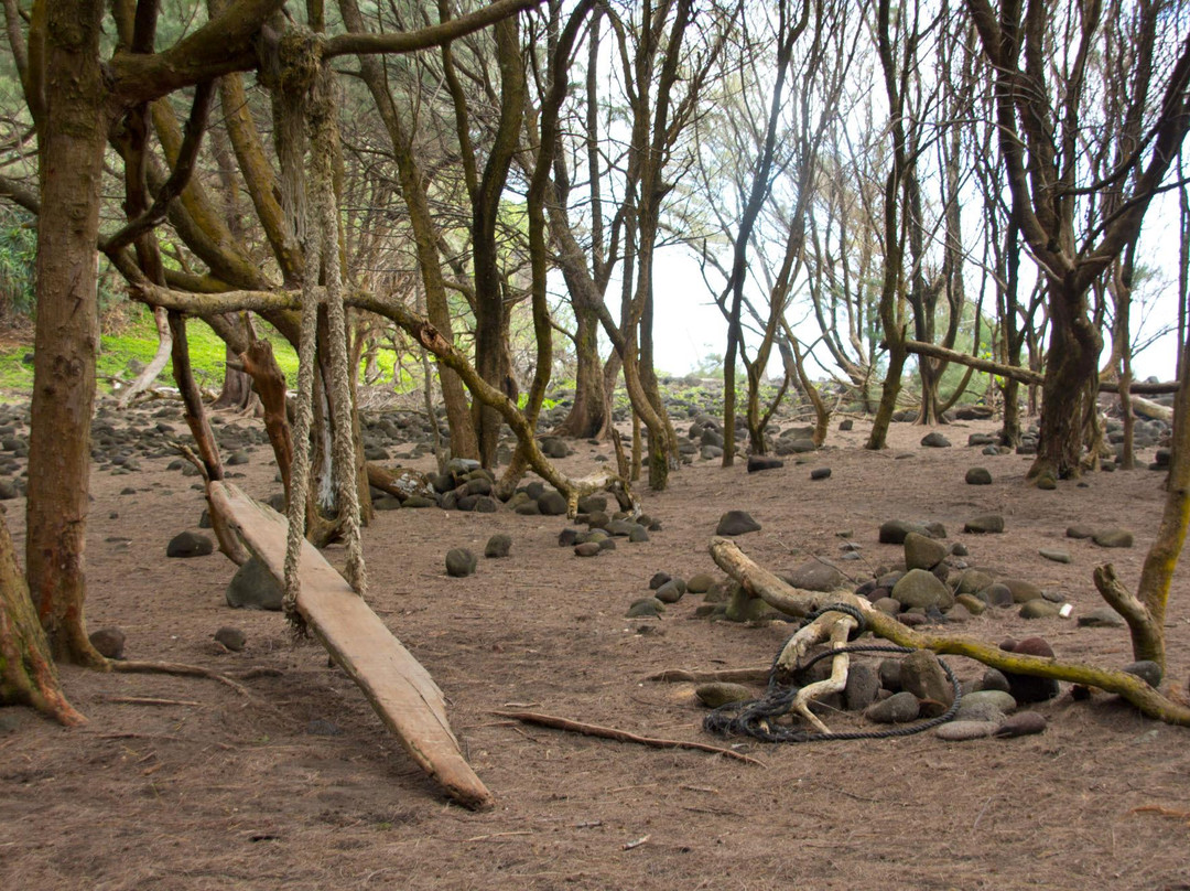波罗陆山谷观景点-夏威夷大岛必去景点