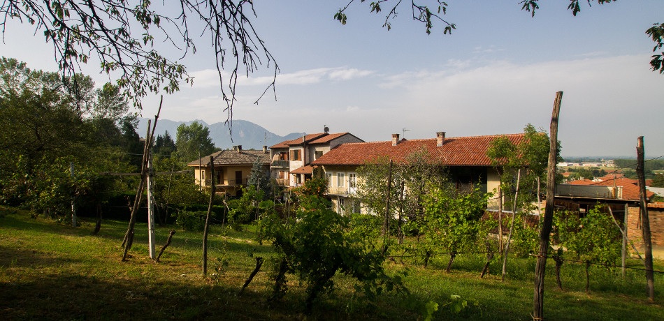 Monteoliveto B&B-官方
