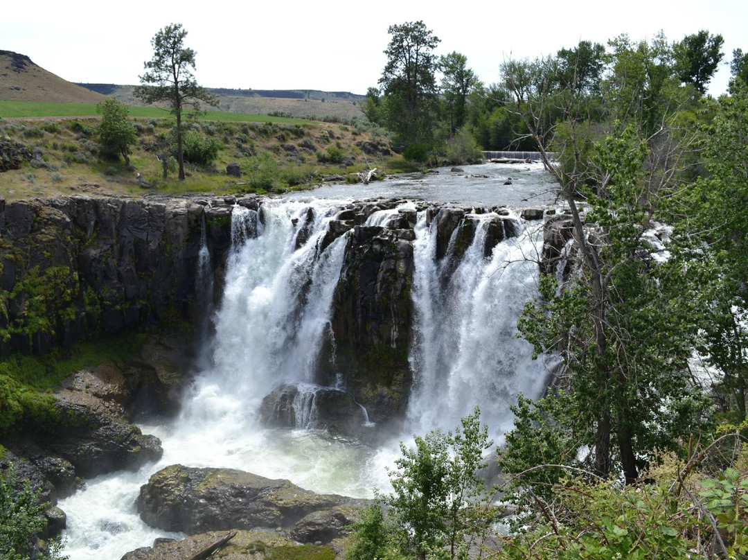 2024年8月Wasco旅游景点攻略Wasco旅游住宿,Wasco旅游美食猫途鹰