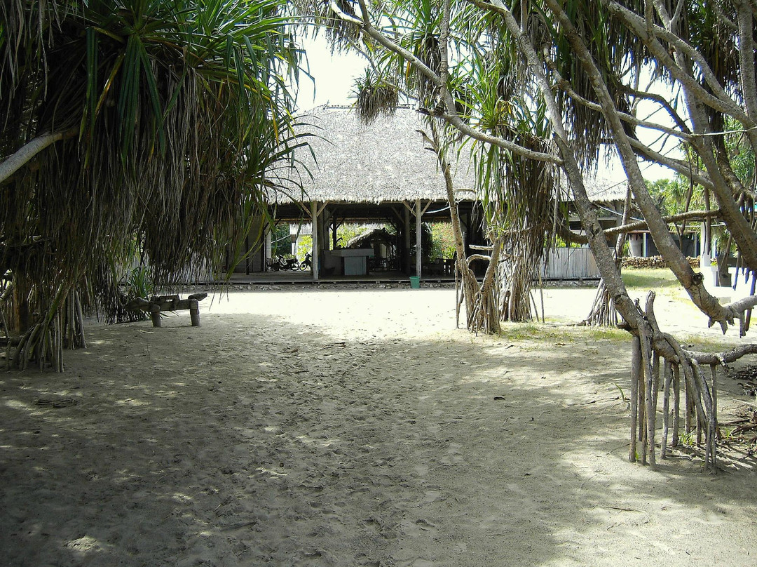 Mr. David's Kalala Beach Surfer's Resort