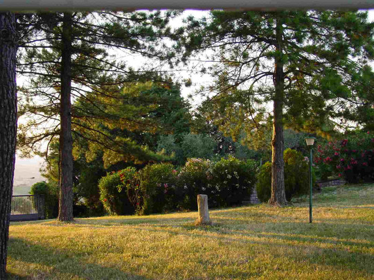 B & B Montefalco主图