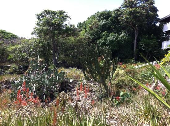 Moir Gardens-坡伊普必去景点