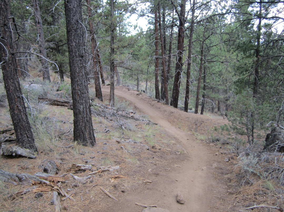 Peterson Ridge Trail-Sisters必去景点