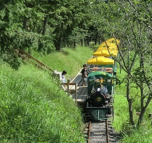 Shiga Blumen Hugel Farm-日野町必去景点