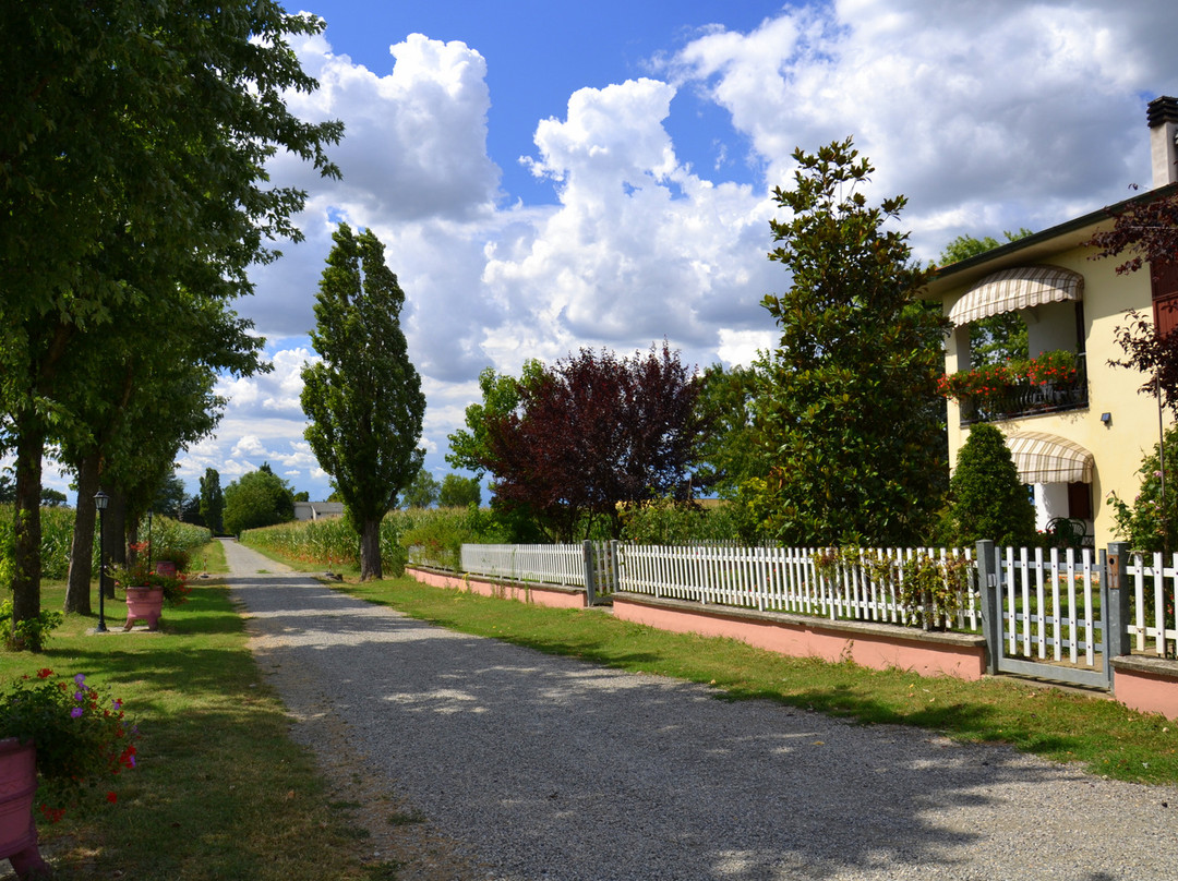 B&B Il Pavone主图
