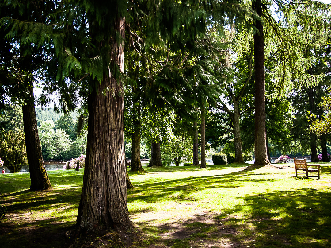 Dunkeld Cathedral-Dunkeld必去景点