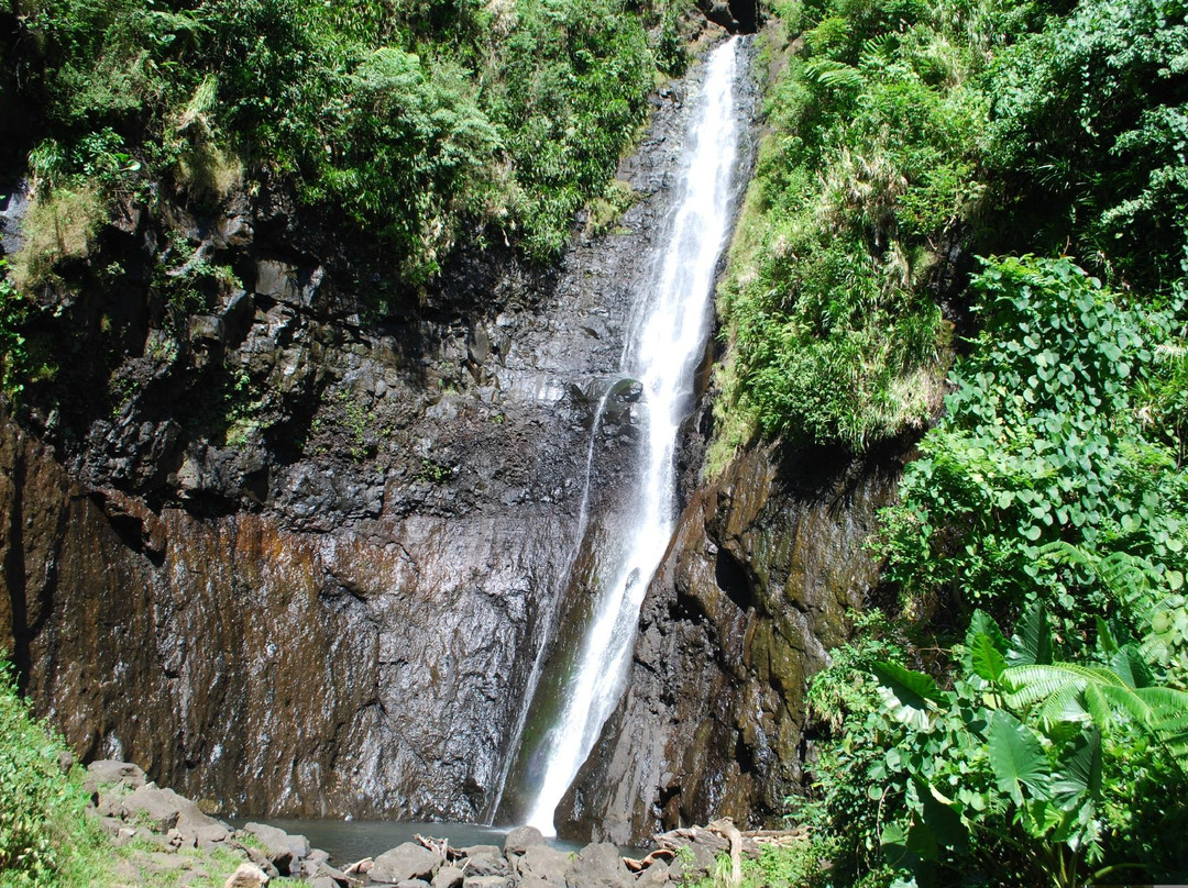 Cascade de Fautaua景点图片
