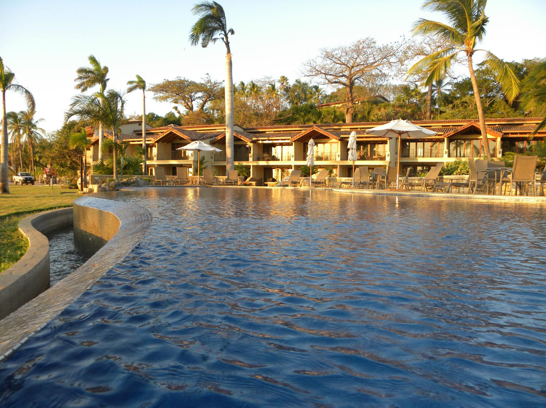 The Palms Stay Guanacaste