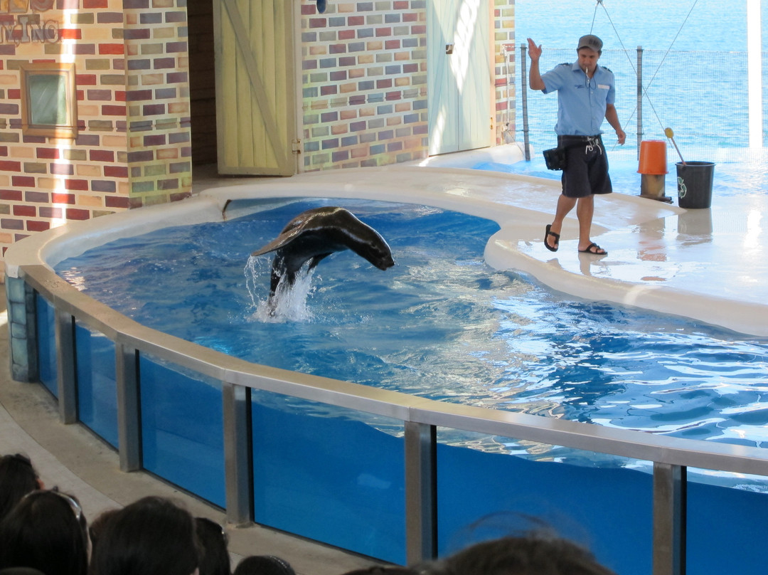 Ocean Adventure-苏比克湾自由贸易区必去景点