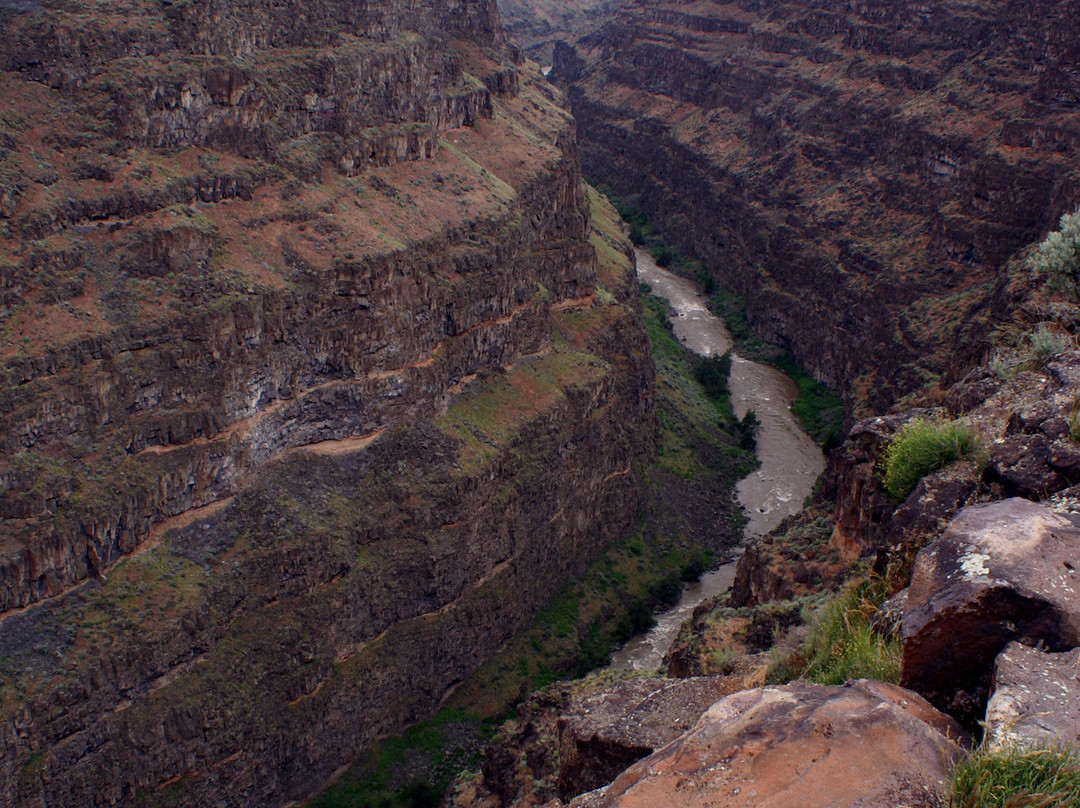 Bruneau Canyon景点图片