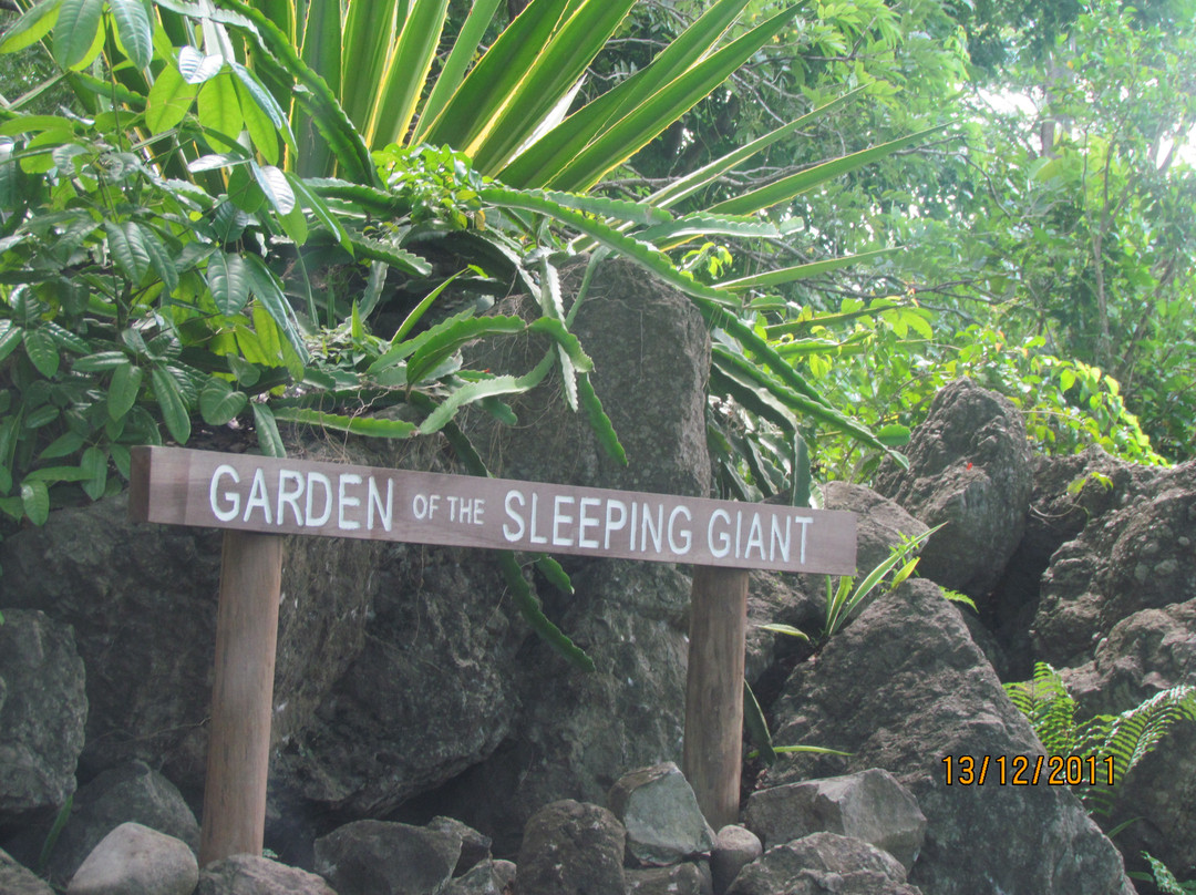 巨人的沉睡花园-纳迪市必去景点