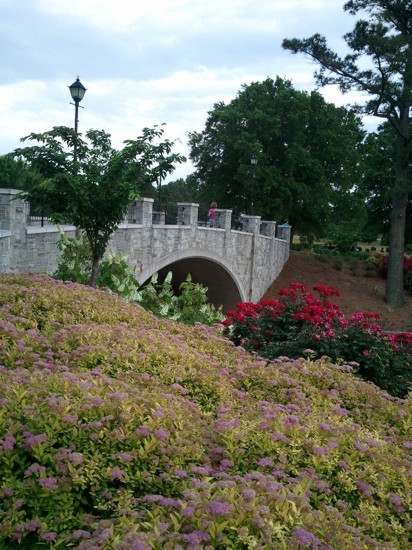 Norfolk Botanical Garden-诺福克必去景点