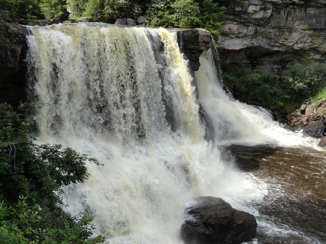 Blackwater Falls State Park-戴维斯必去景点
