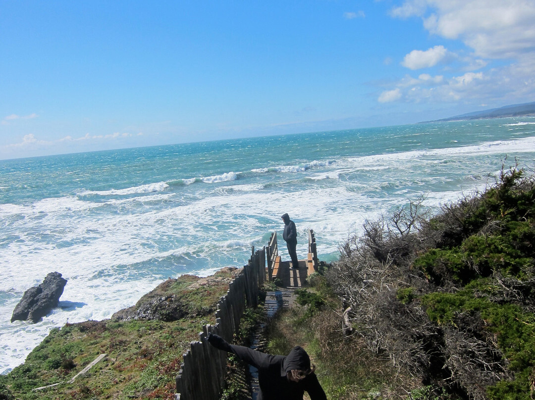 Sea Ranch Escape