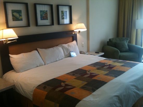 Hotel Terranova-客卧