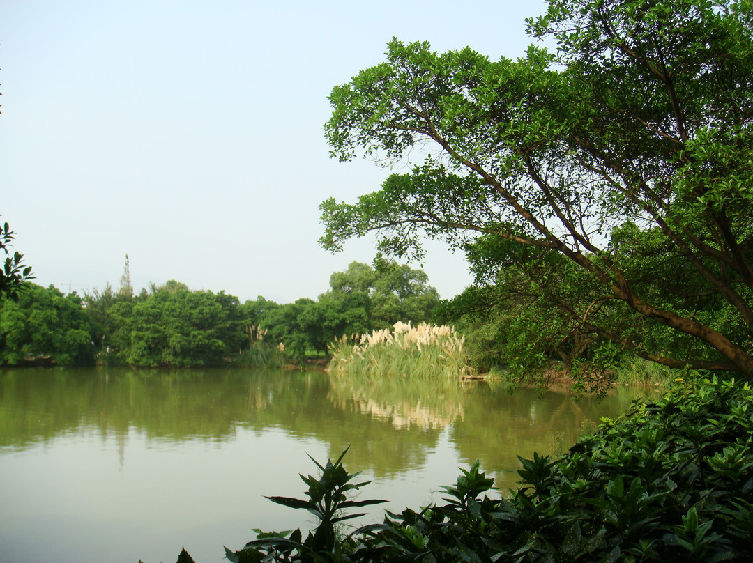 江心屿-温州市必去景点
