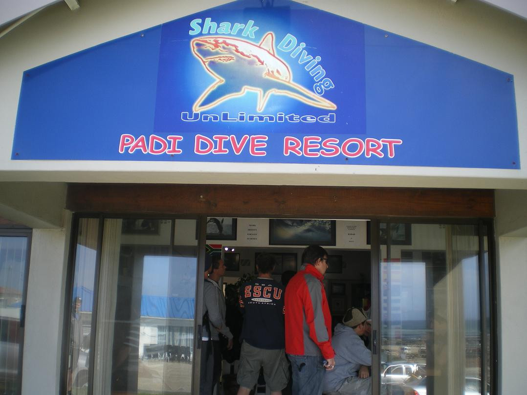 Shark Diving Unlimited-干斯拜必去景点