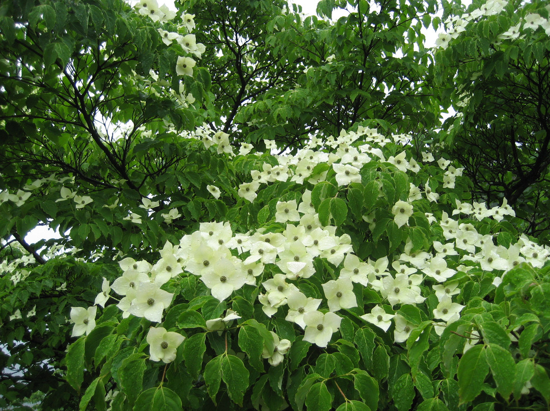 东黄山城堡酒店主图