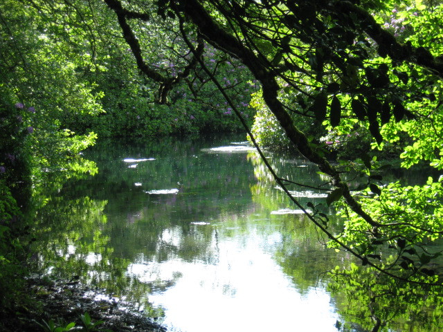 Cloghereen Blue Pool Walk景点图片