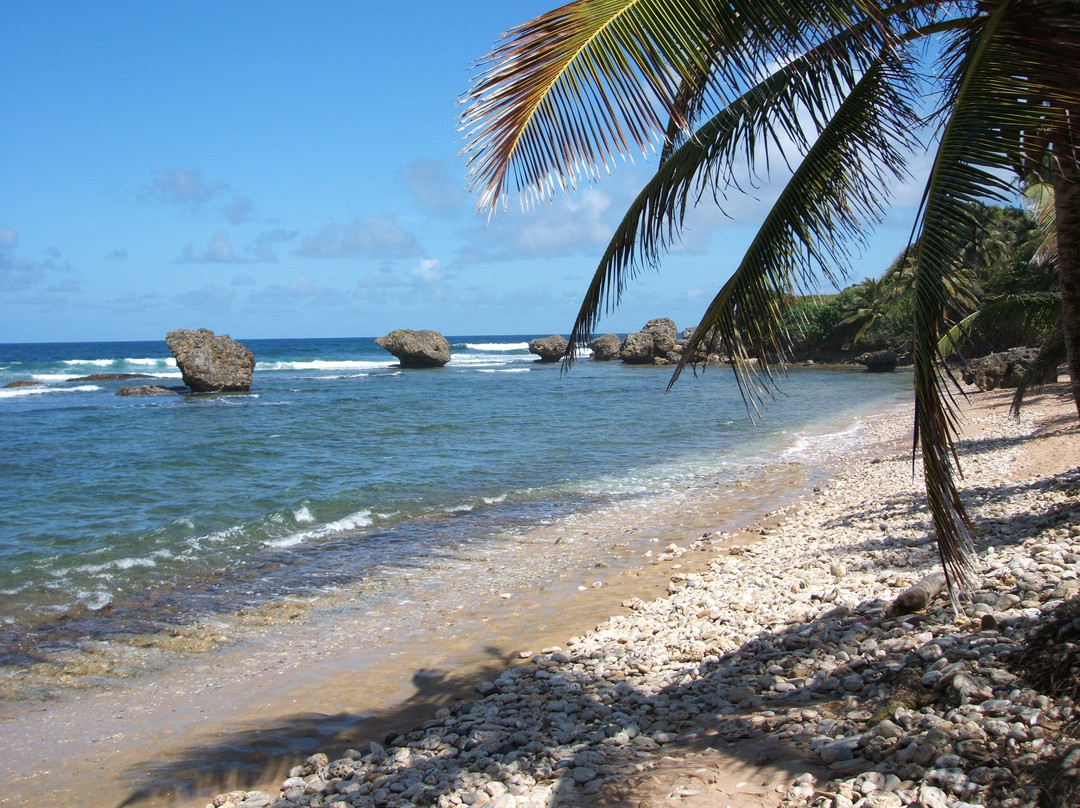 Bath Beach-Bathsheba必去景点