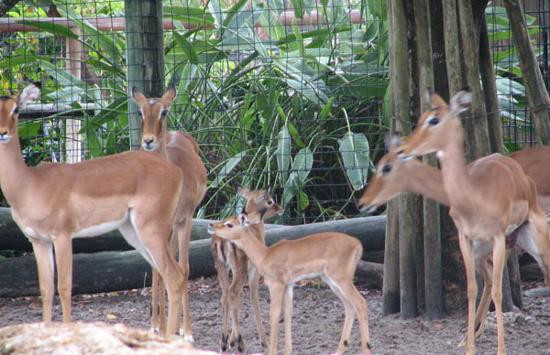 那不勒斯植物园-那不勒斯必去景点
