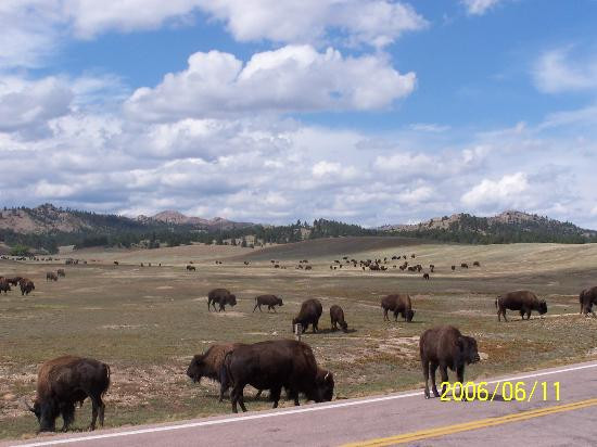Black Hills National Forest-卡斯特必去景点