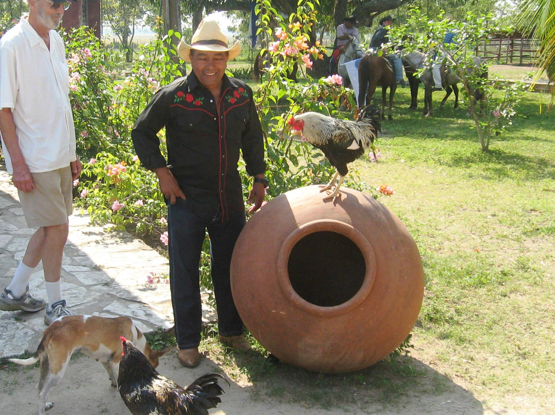 Rancho King Touristic Farm景点图片