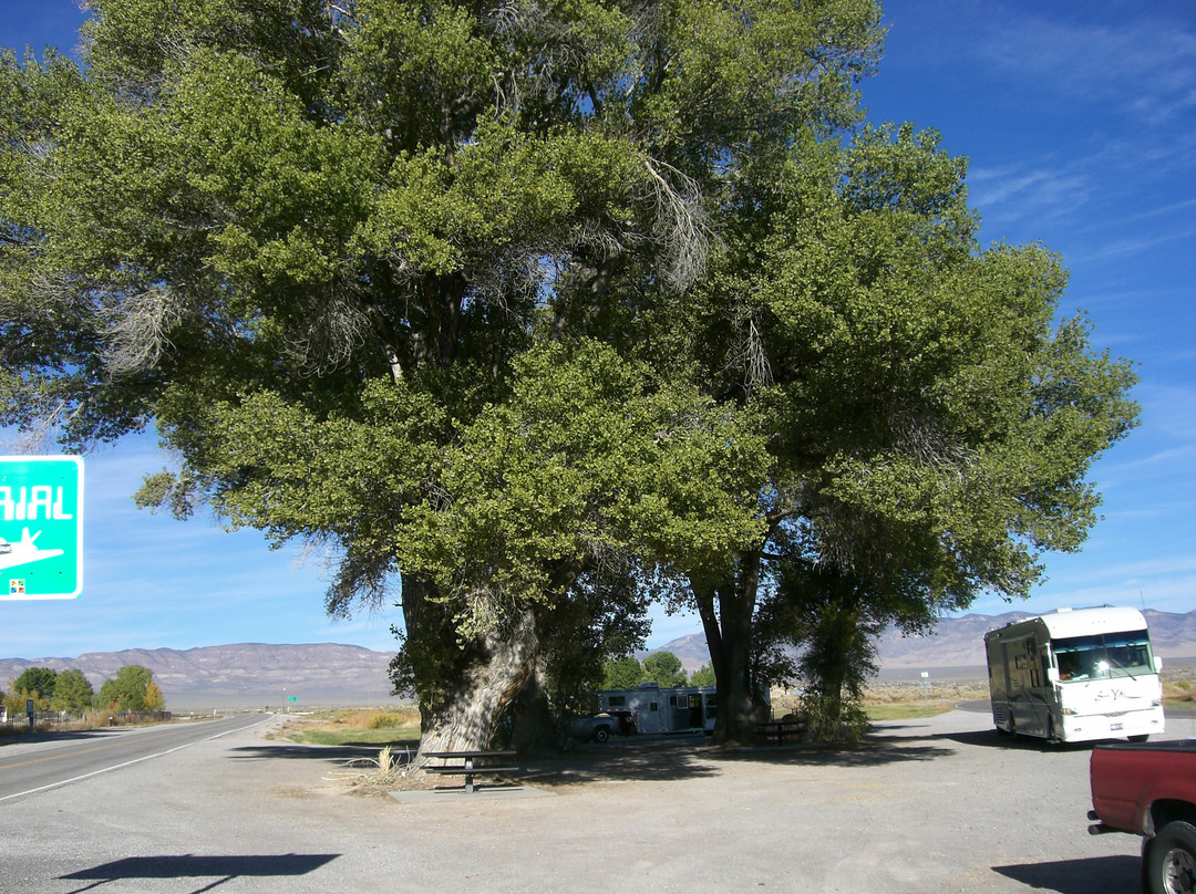 Extraterrestrial Highway-Rachel必去景点