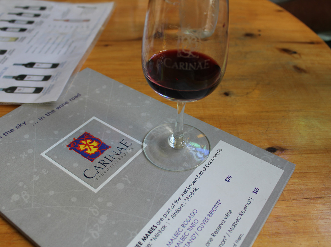 Bodega CarinaE-Maipu必去景点