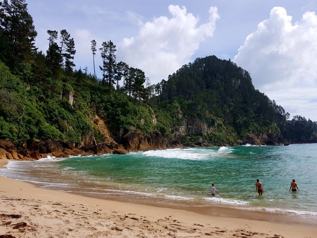 Pokohino Beach景点图片