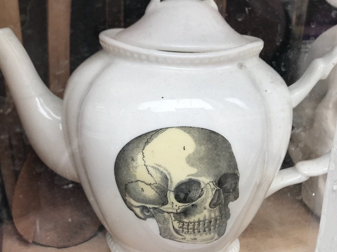 Pandora's Box Antiques and Oddities-约克必去景点