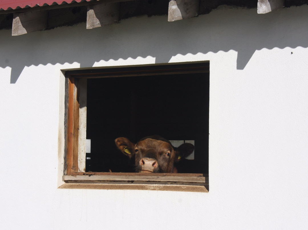 Daeli Farm Guesthouse B&B