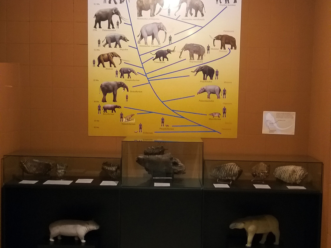 Instituto Bubonem Cultural