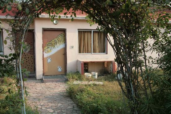 The Jewel of The Jungle