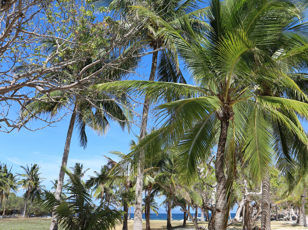 Malcapuya Island主图