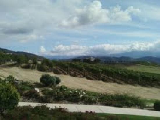 Leoness Cellars-特曼库拉必去景点