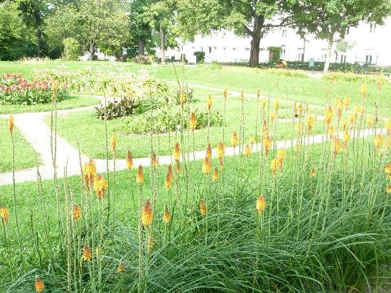 Botanischer Garten (Botanical Garden of the University of Vienna)-维也纳必去景点