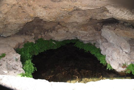 Sitting Bull Falls-卡尔斯巴德必去景点