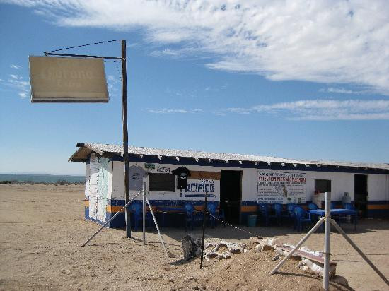 San Ignacio Lagoon-下加利福尼亚州必去景点