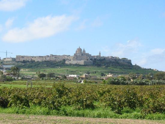 Mdina Glass-Ta' Qali必去景点