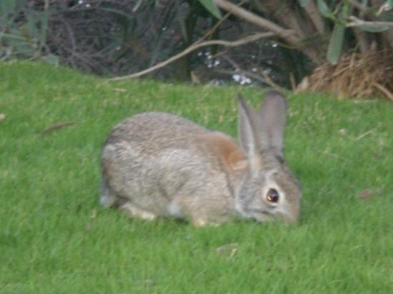 Riverfront-拉芙琳必去景点