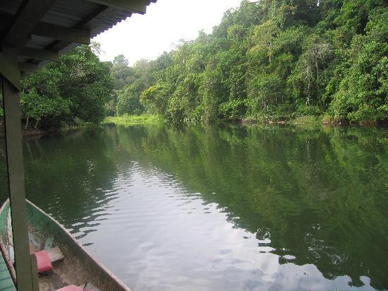Jungle Land Panama景点图片