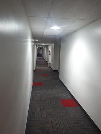 Fenix Hotel Varginha-浴室