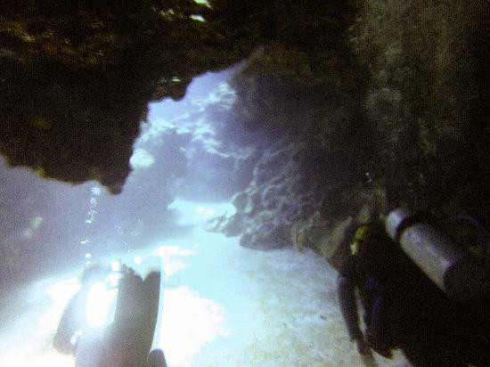 Ha'apai Divers At Matafonua Lodge Resort景点图片