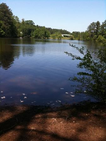 Monastery of the Holy Spirit-Conyers必去景点