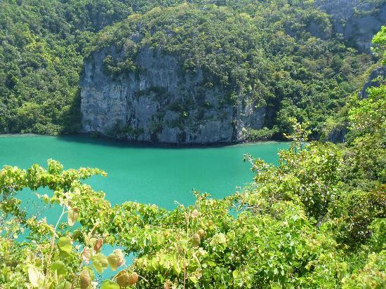 东方百分百潜水-苏梅岛必去景点